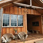 럭셔리텐트 Naturlig Pa Korsgarden Glamping *