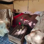 럭셔리텐트 Naturlig Pa Korsgarden Glamping *