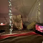 Naturlig Pa Korsgarden Glamping Nysted