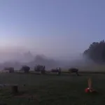 럭셔리텐트 Naturlig Pa Korsgarden Glamping Nysted